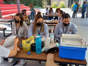 PROGRAMA PREVENIMSS 2022